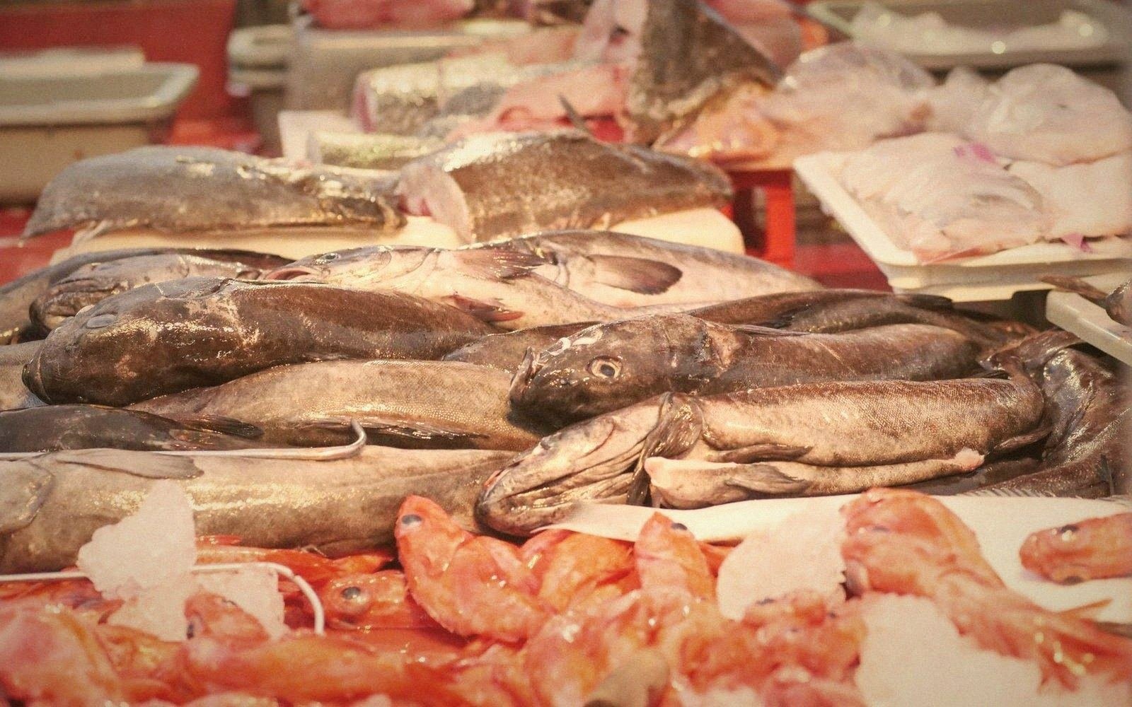 Whole fish and red shrimp displayed on ice at a fish market counter